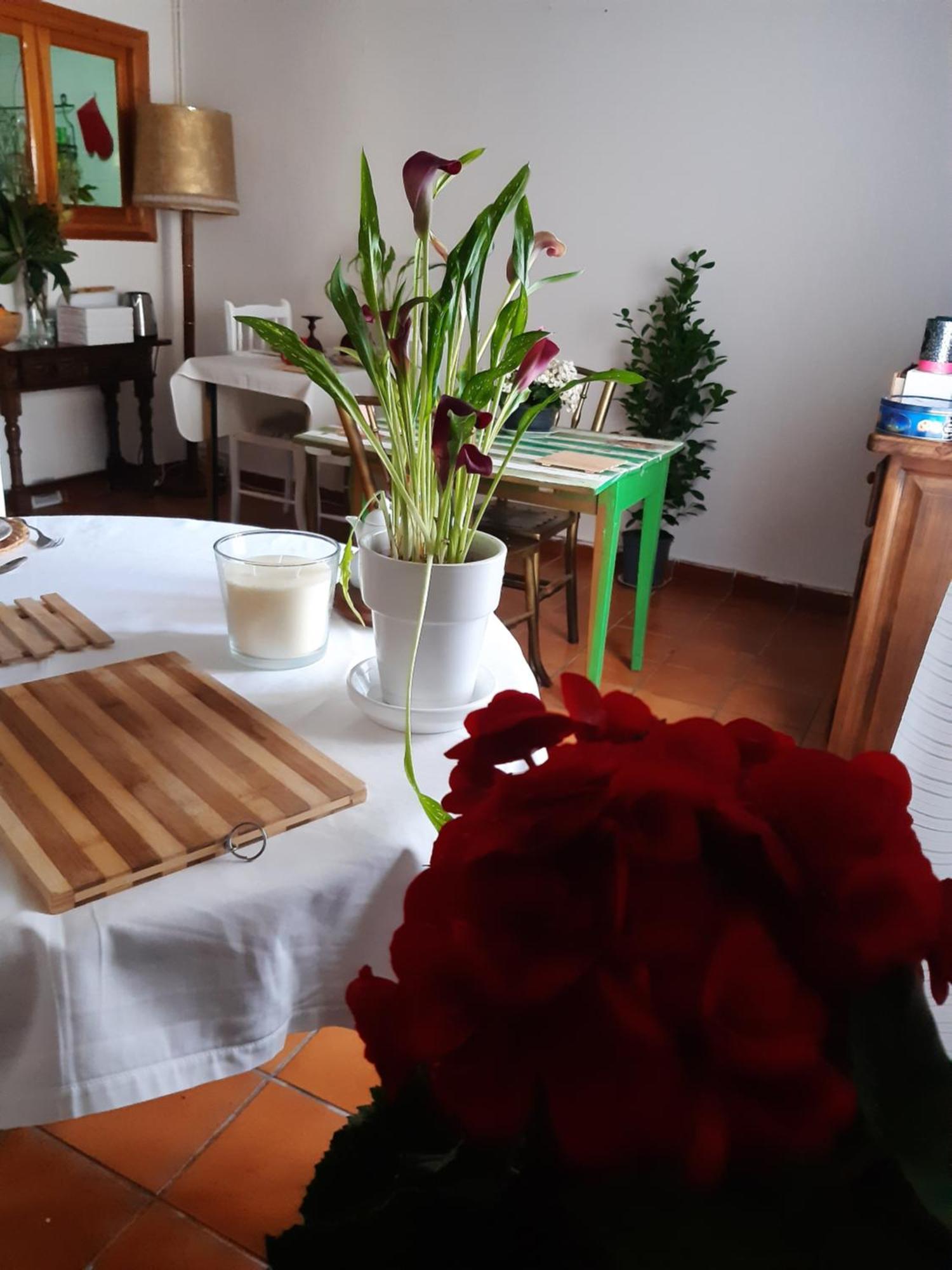 ValdealgorfaMusas Gastro Casa Rural公寓 外观 照片